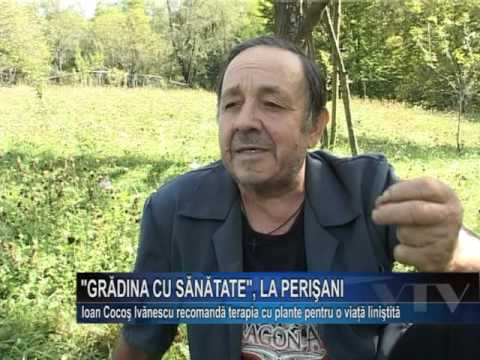 "Gradina cu sanatate", la Perisani