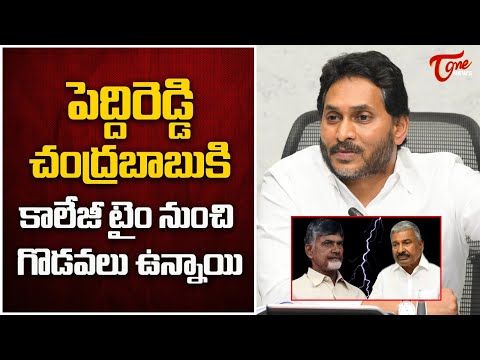 చెవిరెడ్డి కి చంద్రబాబు కి కాలేజీ టైం నుంచి గొడవలు ఉన్నాయి | YS Jagan Sensational Press Meet