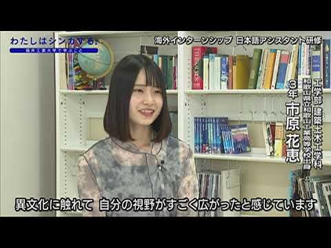 わたしはシンカする。海外インターンシップ日本語