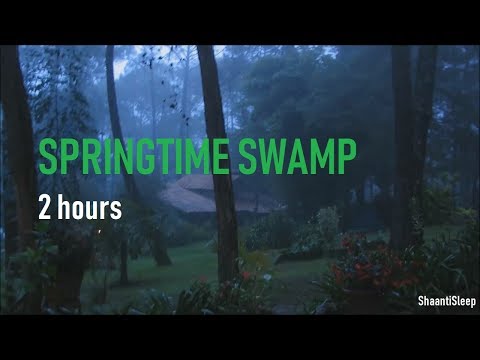 Night Rain In Springtime - 2 Hours of Crickets, frogs, rain, owls, chimes and Rain Sleep Sounds