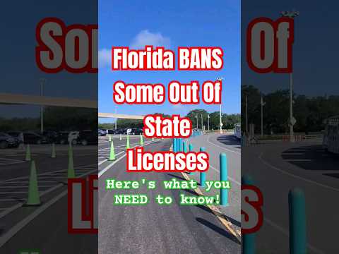 Florida's Ban On Out Of State Licenses 🚗 ⛔️ #Florida #Floridanews #floridatravel floridatravel