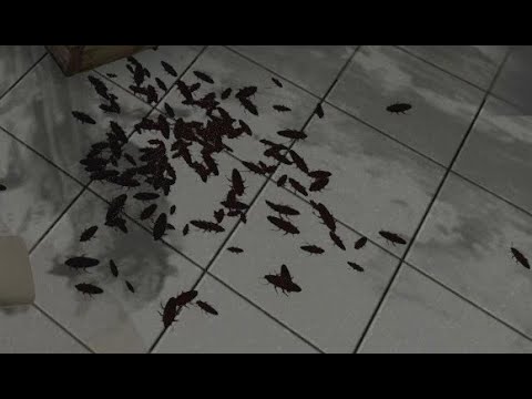 That's a lot of Roaches! House Flipper pt. 5