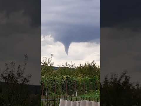 Tornada  la Craiva Arad