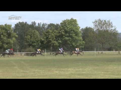 MI, 26. 7. 2015, 3. dostih - CENA PFERDEHOF AM SPILZBERG