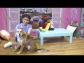 Animal Shelter Lets Visitors Have Valentine S Day Dates With Animals