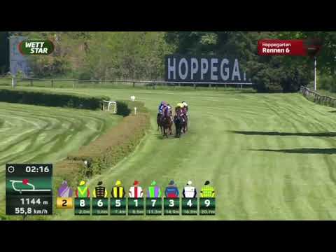 Oleander Rennen - Flatten the Curve - Thore Hammer-Hansen