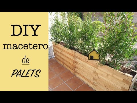 Cómo hacer un macetero de palets para dividir el jardín