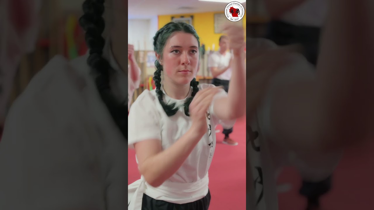 ZhongYi Kung Fu Association-Sifu, Nelson. Madison, Milwaukee.