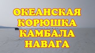 Рыбалка во владивостоке сегодня корюшка