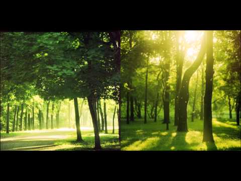 Zzzzra - Improvisation En Sieste Mineure