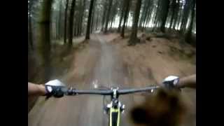 preview picture of video 'Coed Llandegla - Red Route (including Black Runs) - GoPro HD - 720p'