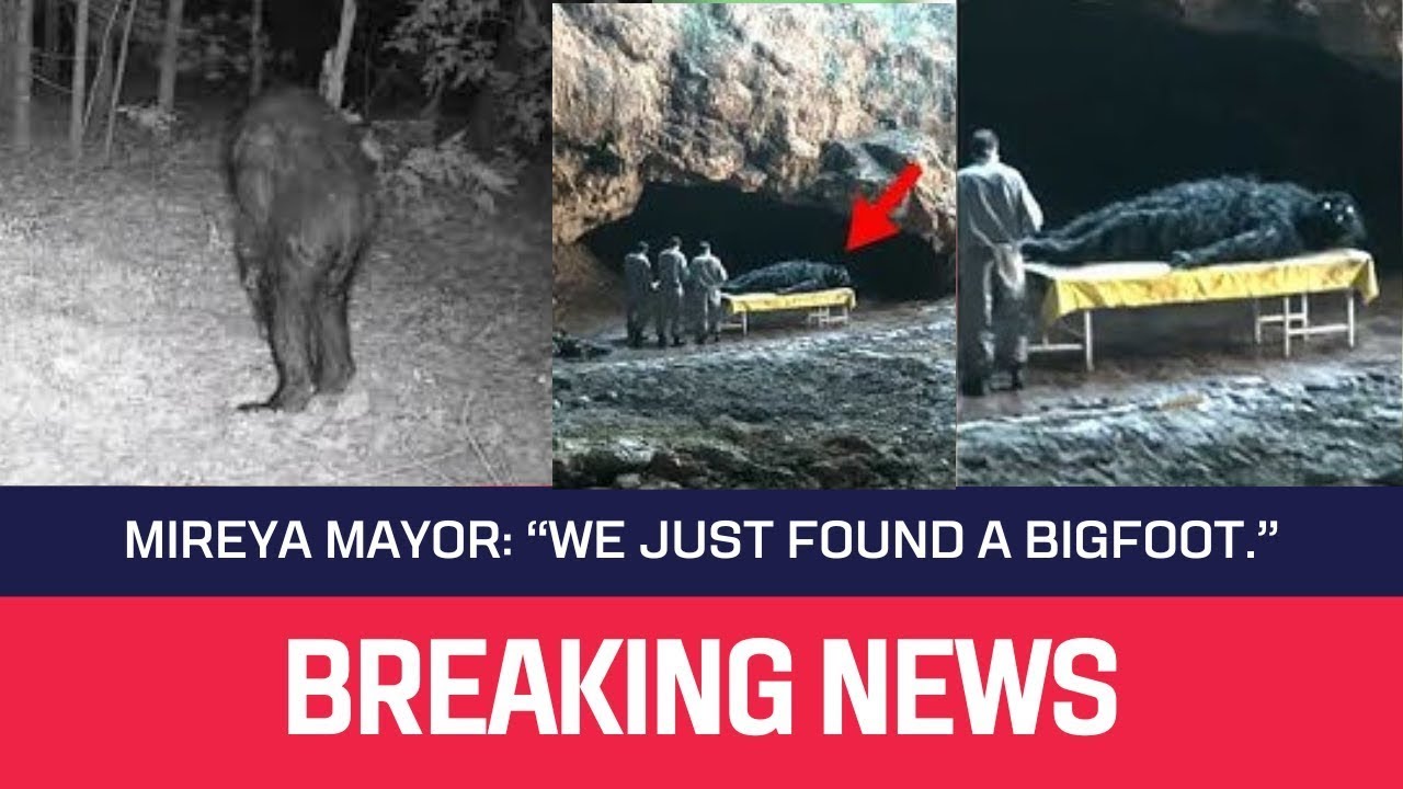 YouTube Thumbnail Downloader FULL HQ IMAGE