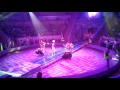 New Year In Circus Introduction