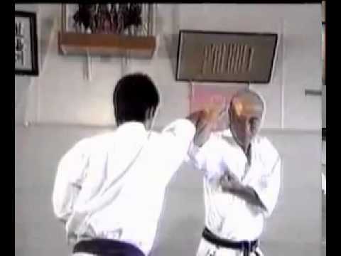 Wado Ryu Kihon Kumite 1