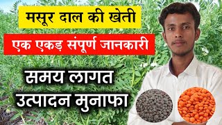 Download lagu Lentil cultivation || Masoor ki Kheti || How to cultivate Masoor || How is Masoor dal cultivated mp3 Download lagu Lentil cultivation || Masoor ki Kheti || How to cultivate Masoor || How is Masoor dal cultivated mp3