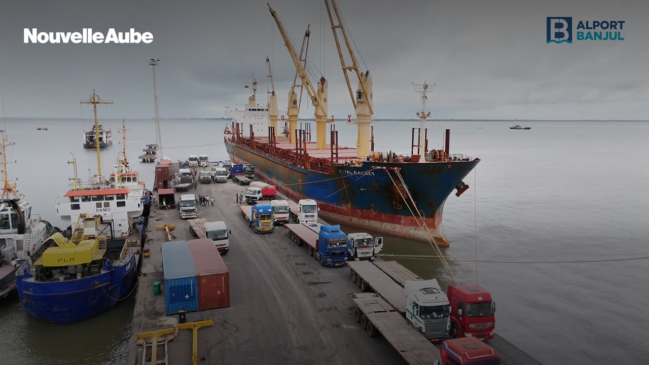 Alt Text: A detailed infographic comparing the key features and pricing tiers of three popular project management software...