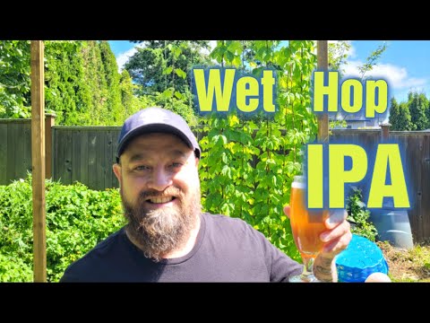 Brewing a Wet Hop IPA