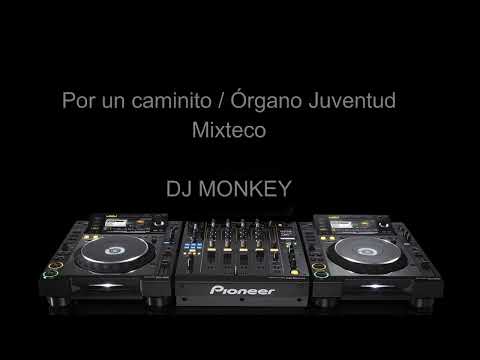 Popurrí Charangas Mixtecas - Órgano Juventud Mixteco (DJ Monkey Mix)