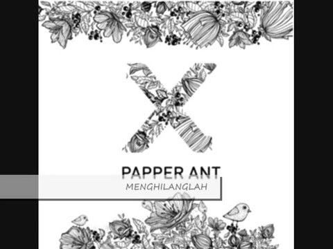 PAPPER ANT - PREVIEW FIRST ALBUM 