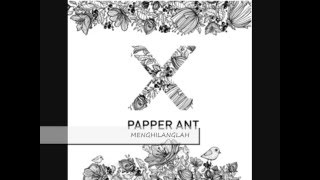 PAPPER ANT - PREVIEW FIRST ALBUM 