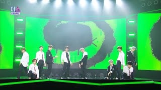 NTX (엔티엑스) - SURVIVE (서바이브) 교차편집