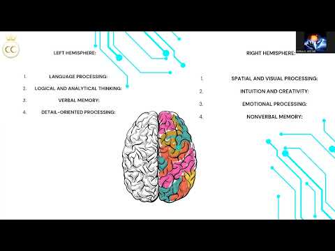 You Vision- The Brain 06/06/2023