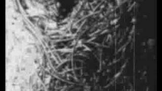 Abominable Putridity - Victims Stuffed with Nails