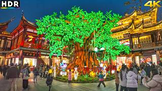 With Travel East . . . Chinese New Year lights and atmosphere, ShangHai