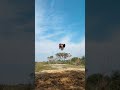 Aaye Haye Maze Flips Double Backflip Shorts