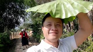 Mộ bên Ngoại 2021