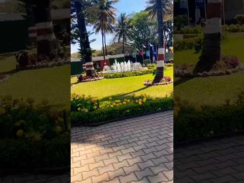 water fountain#trending      #Veekshith Reddy #short