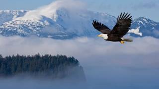 Magic Moments of Perry Como: The Wind Beneath My Wings