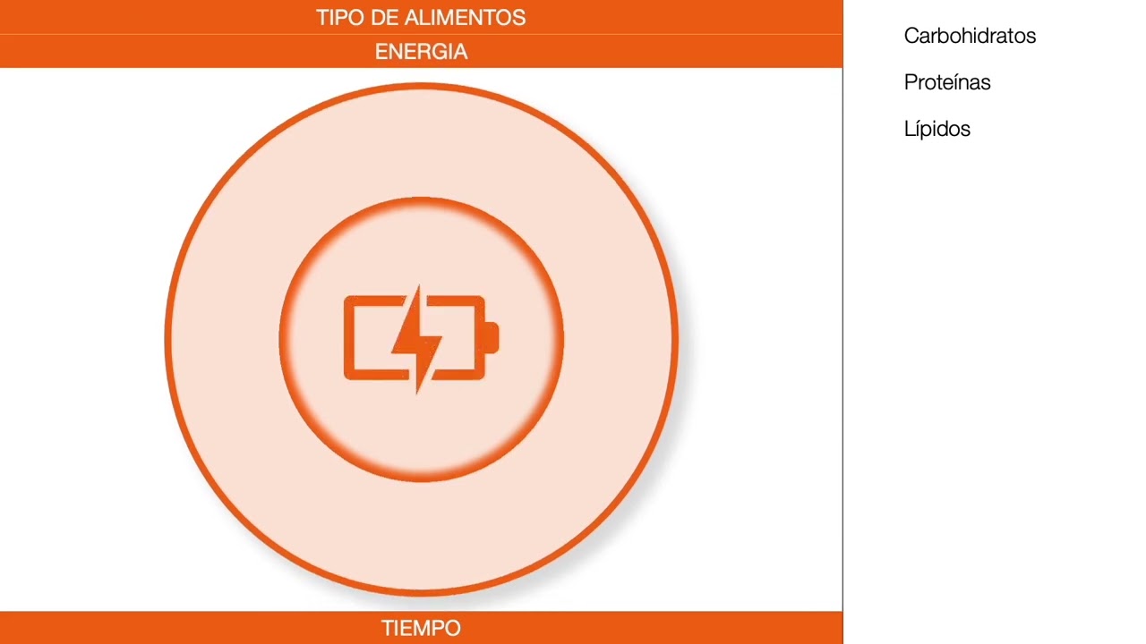 Nutrientes más allá de la absorción - Dietas y macronutrientes (Parte 1)