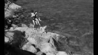 Summer Interlude (1951) Video