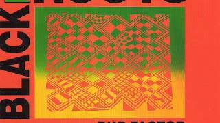 Black Roots   1991 Dub Factor   The Mad Proffessor Mixes   Dub Express