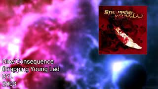 Devin Townsend&#39;s Self References Over the Years