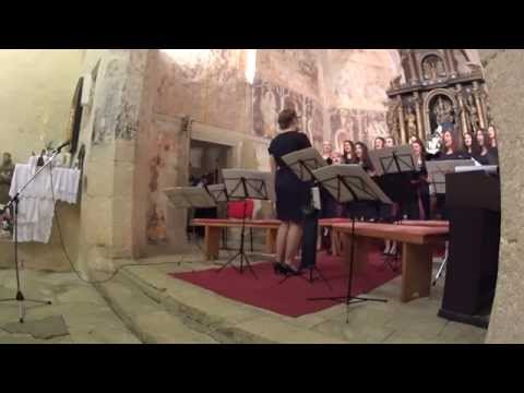 koncert  Zbor mladih Vedrina