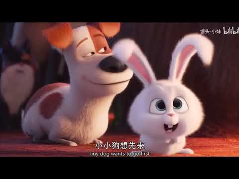 員林家商111學年度英語配音比賽第二名 (員林家商111學年度英語配音比賽第二名)