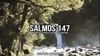 SALMOS 147 (narrado completo)NTV @reflexconvicentearcilalope5407 #biblia #salmos #parati #cortos