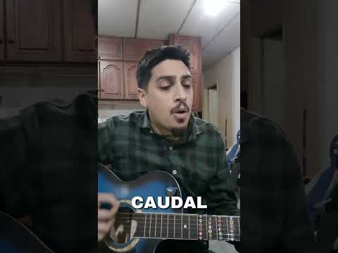 semilla canción para RIO NEGRO DESDE FERNÁNDEZ ORO CIUDAD DE RIO NEGRO Para certamen músical.