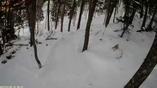 preview picture of video 'Skiing Jip and Josh Chutes at Sipapu New Mexico'