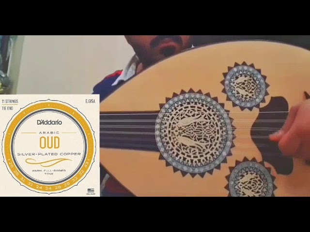 اوتار ديداريو دوزان دو-دو شرقي 11 وتر