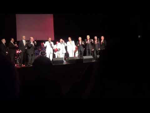 Looking for an Echo-Mystics, Passions, Excellents