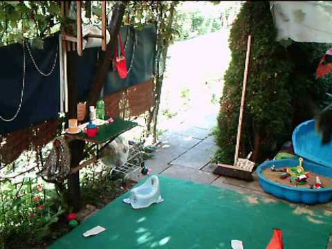 DÖRR Snapshot PRO BLACK 8.0 MP_VOGEL(rechter Bildbereich)