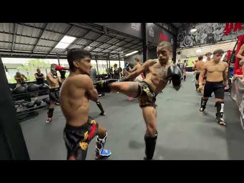 Muay Thai Sparring