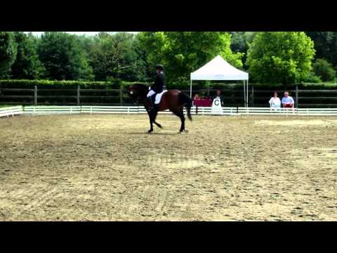 Alexander - Orchid's Tygo- J2L- Verbrande Brug