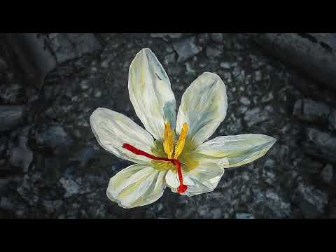 MIRAVI, MERAB AMZOEVI —  ШУМ БЕРЁЗ