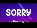 Sorry Justin Bieber Lyrics