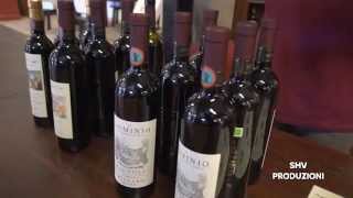 preview picture of video 'CANTINA DEL DOMINIO DI BAGNOLI DI SOPRA IL VIN FRIULARO'