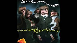 BYRDS TURN TURN TURN TRACK 6 THE DAY WALK